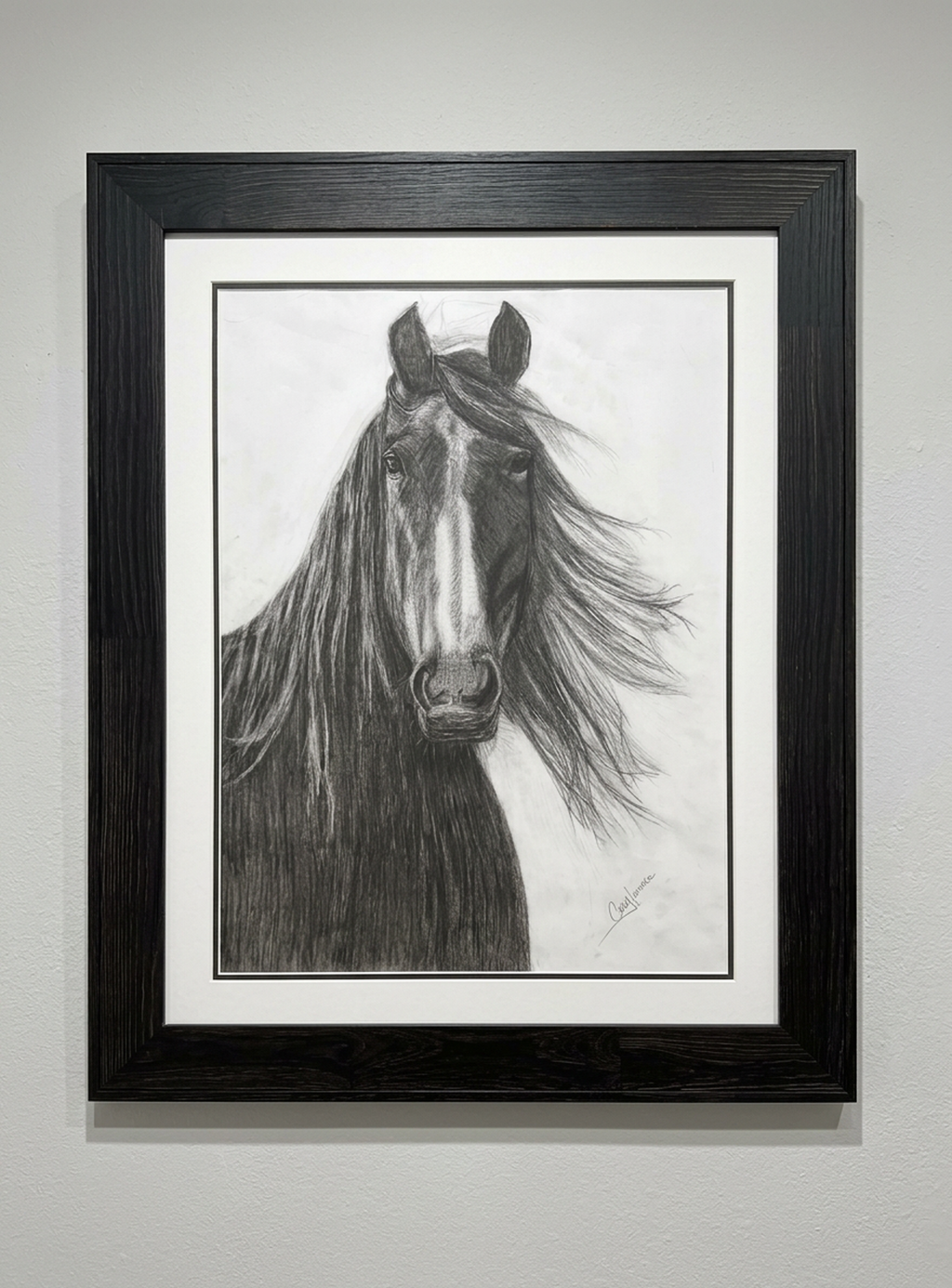 Charlie Charcoal Horse - Original Charcoal Drawing