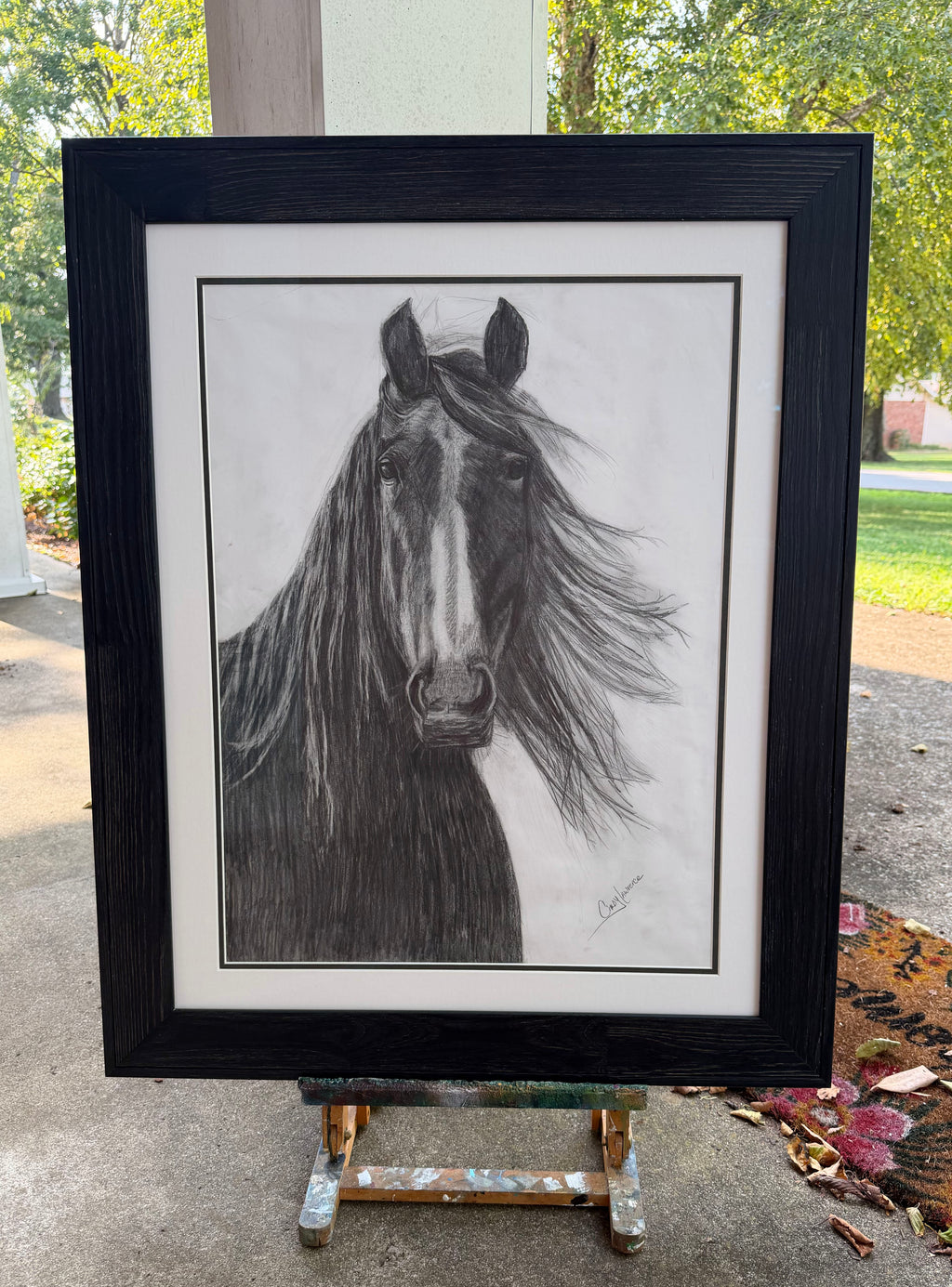Charlie Charcoal Horse - Original Charcoal Drawing