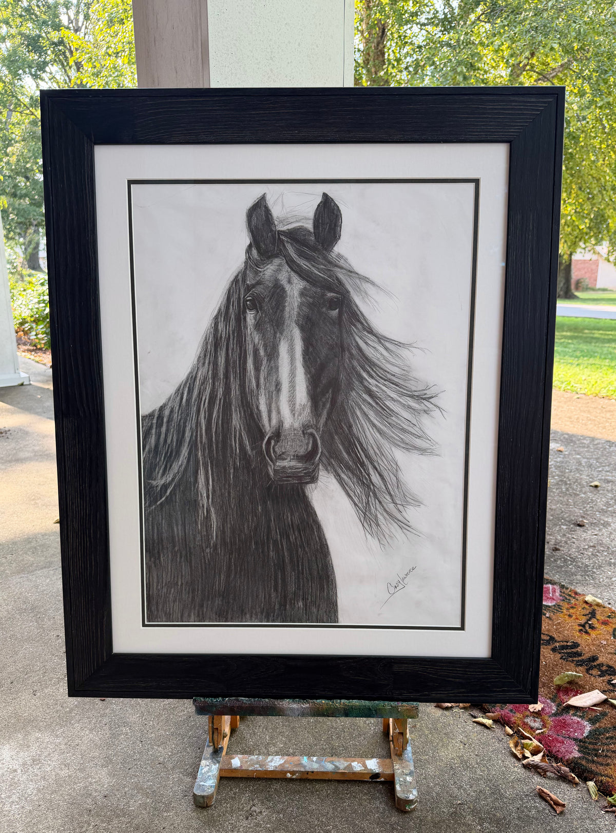 Charlie Charcoal Horse - Original Charcoal Drawing